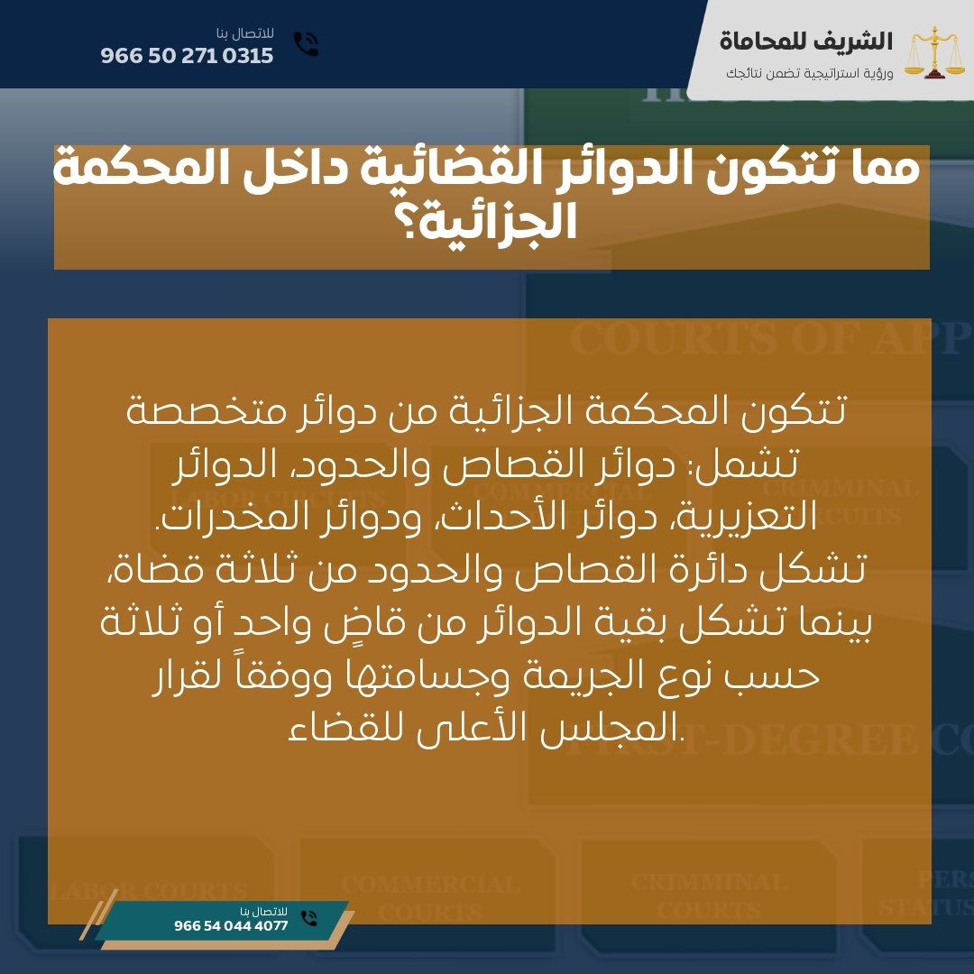مما تتكون الدوائر القضائية داخل المحكمة الجزائية؟